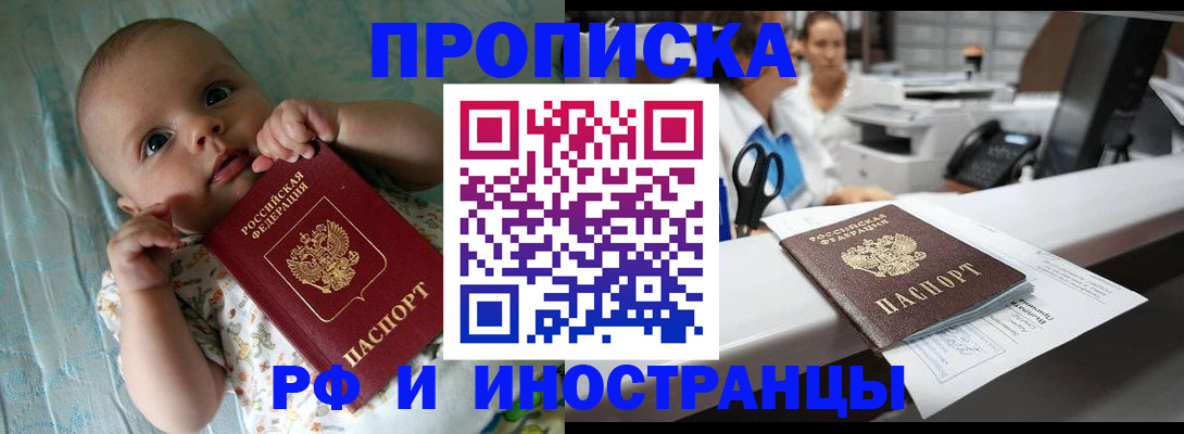 прописка поиск в Шатуре